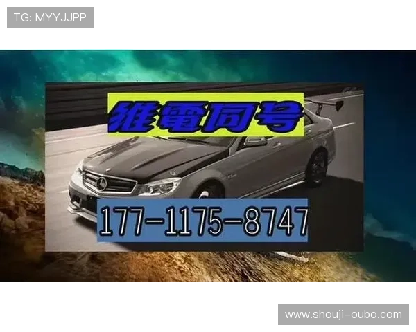 欧博私网一比一股东：股东身份认证与合法性保障措施详解